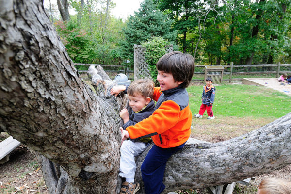 Acorn_CDH0066 Acorn_CDH0066