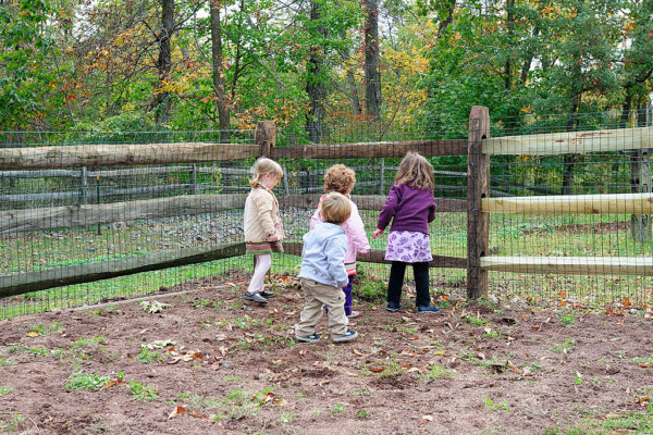 Acorn_CDH0091 Acorn_CDH0091