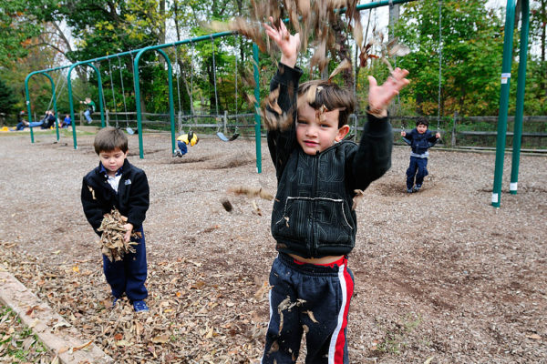 Acorn_CDH0095 Acorn_CDH0095