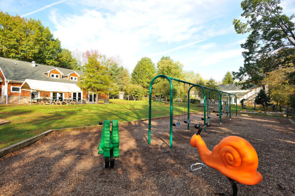 Acorn_DHP0584 Acorn_DHP0584