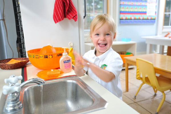 Acorn_DHP0621 Acorn_DHP0621