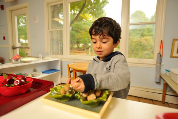 Acorn_DHP1092 Acorn_DHP1092