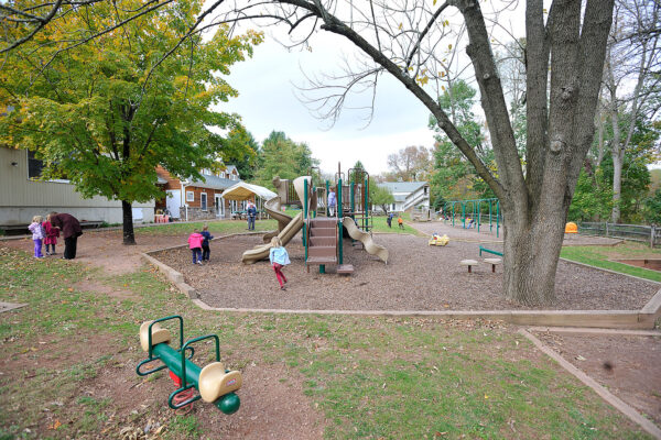 Acorn_DHP1818 Acorn_DHP1818